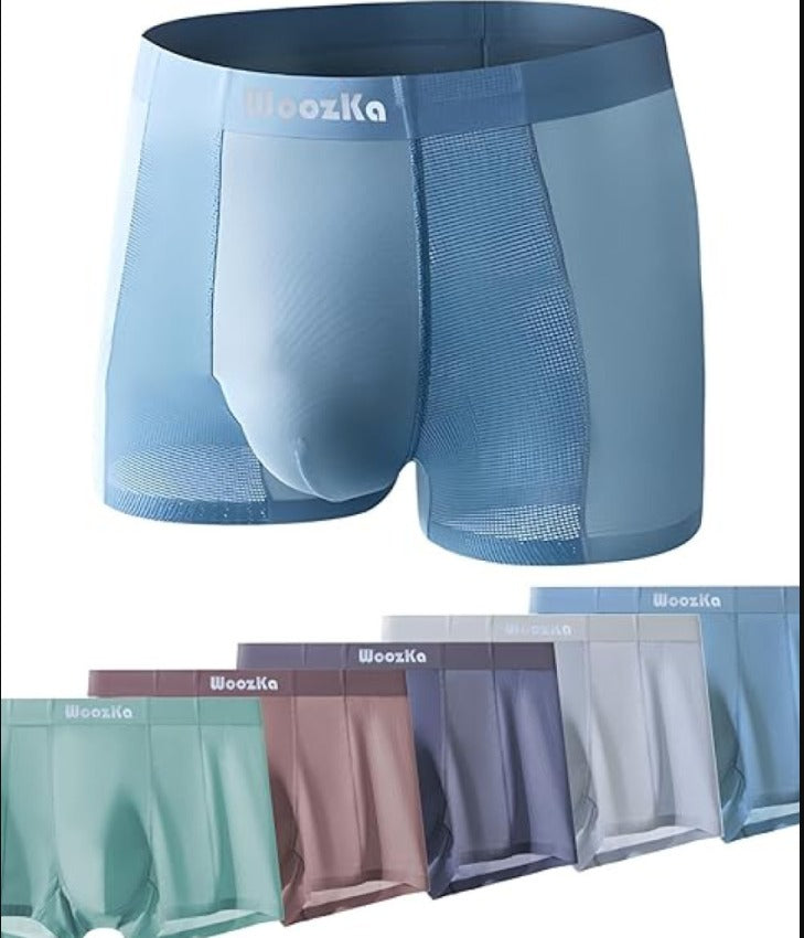 Men's Shorts Underwear Men's Brief Boxer Multicolor